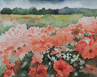 Pintura de campo de amapolas en acuarela, paisaje natural en acuarela