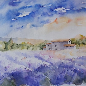 lavanda, campo di lavanda, acquerello di lavanda, dipinto di lavanda, quadro di lavanda, paesaggio di lavanda