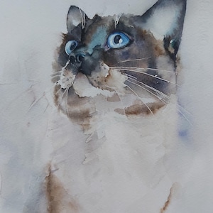 chat siamois, chat, portrait de chat siamois, aquarelle de chat siamois, peinture de chat siamois, peinture de chat siamois