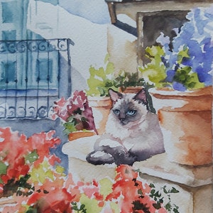 paysage avec chat, chat siamois, chat siamois aquarelle,
