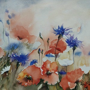 campo di papaveri e fiordalisi, acquerello di papaveri e fiordalisi, quadro di papaveri e fiordalisi, campo di fiori, acquerello di papaveri