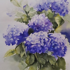 Hortênsias, aquarela de hortênsias, flor de hortênsia, aquarela de hortênsia original, buquê de hortênsias, pintura de flores de hortênsia