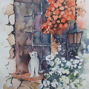 gatto bianco, gattino, gatto su finestra fiorita, finestra con gattino, gatto e finestra, fiori e gattino