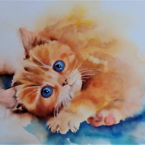 gatto rosso, gattino, piccolo gattino rosso, cucciolo di gatto, cucciolo,