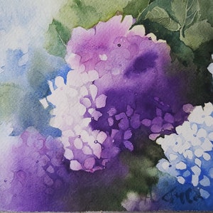 ortensie, acquerello di ortensie, quadro di ortensie, dipinto di ortensie, ortensie colorate, fiori, dipinto di fiori