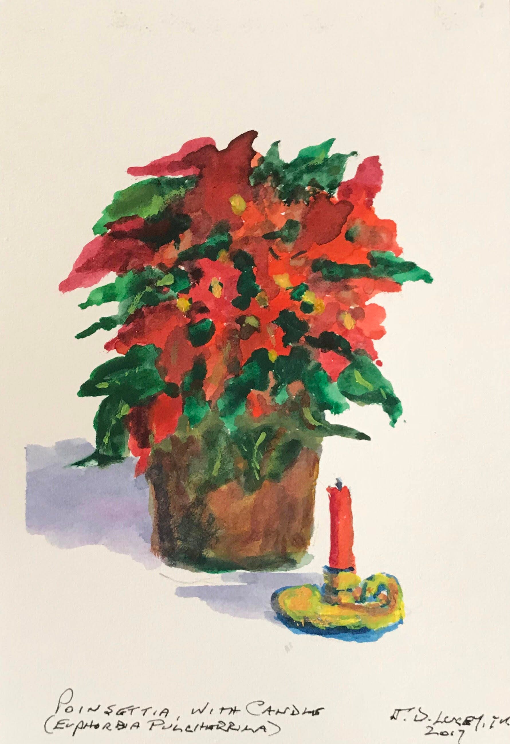 Incl Poinsettia with Candle Original Watercolor Sketch 5 x 7 Mat /& Mount