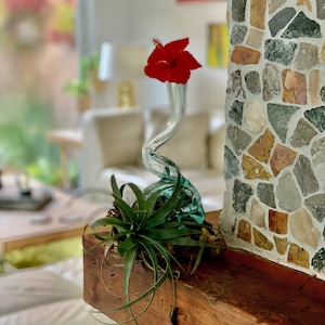 Molten glass on driftwood 11Hx 8”W x 7”L Skinny flower Vase  - SAME DAY SHIPPING- air plants, succulents terrarium, flowers vase,