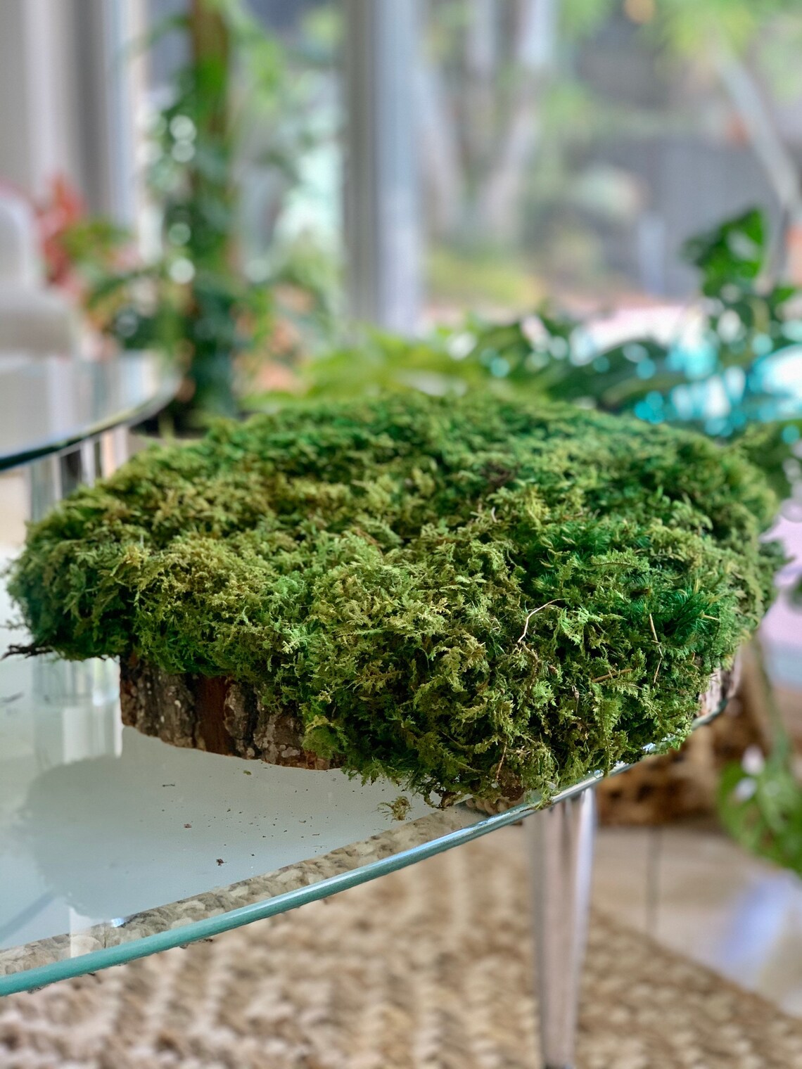 Real preserved mood moss Large stunning pillow moss Etsy