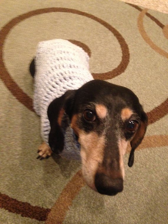 etsy dachshund sweater
