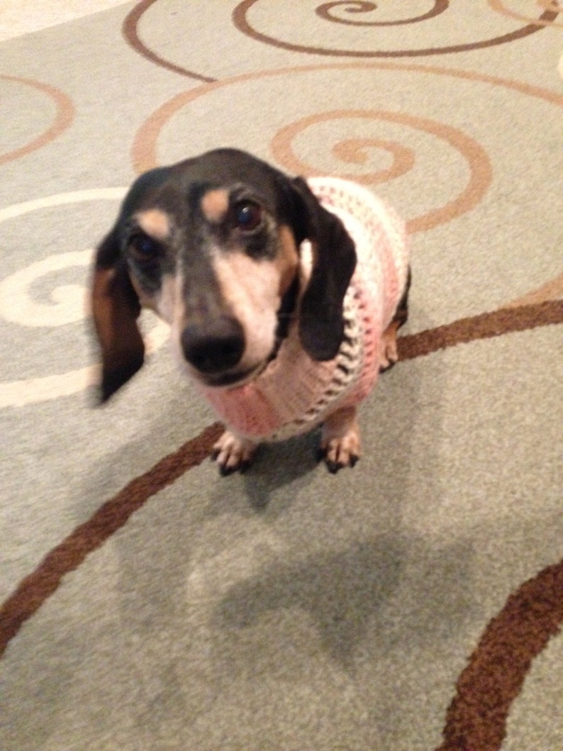 etsy dachshund sweater