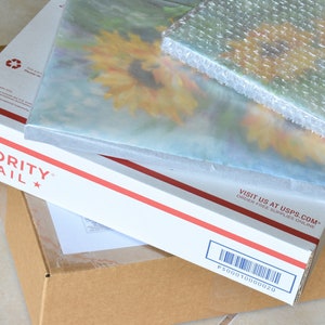 May include: A white Priority Mail box with red and blue stripes, with a brown cardboard box underneath. The Priority Mail box has the text "VISIT US AT USPS.COM* ORDER FREE SUPPLIES ONLINE" printed on the side. The brown box has a barcode with the text "P200010000020" printed on the side.