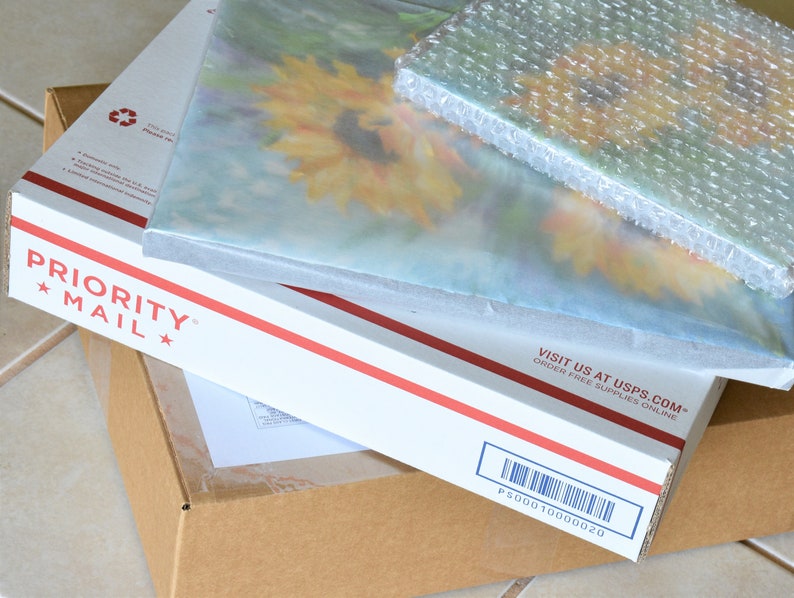 May include: A white Priority Mail box with red and blue stripes, with a brown cardboard box underneath. The Priority Mail box has the text "VISIT US AT USPS.COM* ORDER FREE SUPPLIES ONLINE" printed on the side. The brown box has a barcode with the text "P200010000020" printed on the side.