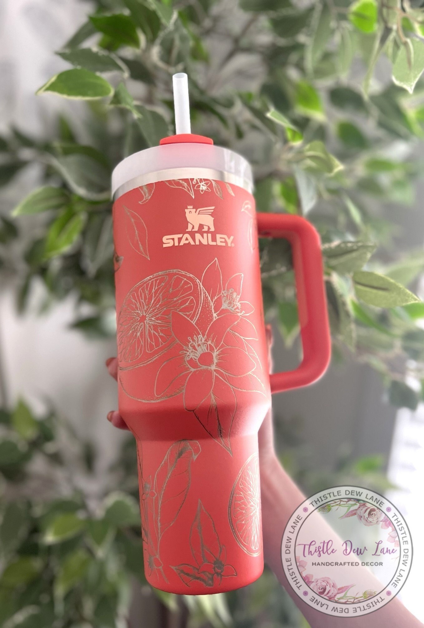 Stanley Red Tumblers