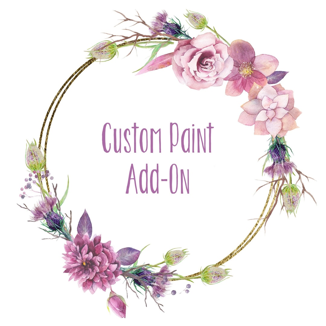 Custom Paint Color Add-on - Etsy