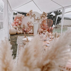 May include: A baby shower party setup with a white backdrop decorated with balloons, pampas grass, and a sign that says "Hello Baby".