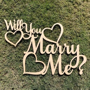 Will You Marry Me, Will You Marry Me Sign, Engaged, Proposal, Wedding Proposal,  Back Drop