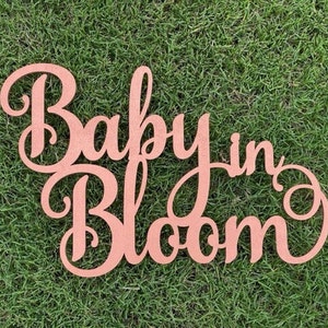 May include: A wooden sign with the words "Baby in Bloom" written in a cursive font. The sign is painted a light pink color and is sitting on a bed of green grass.