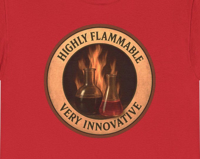 Flammable Artist Tee Creative Maker  Temperamental Mindset