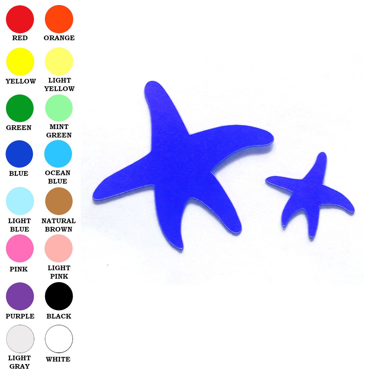 Essay on starfish