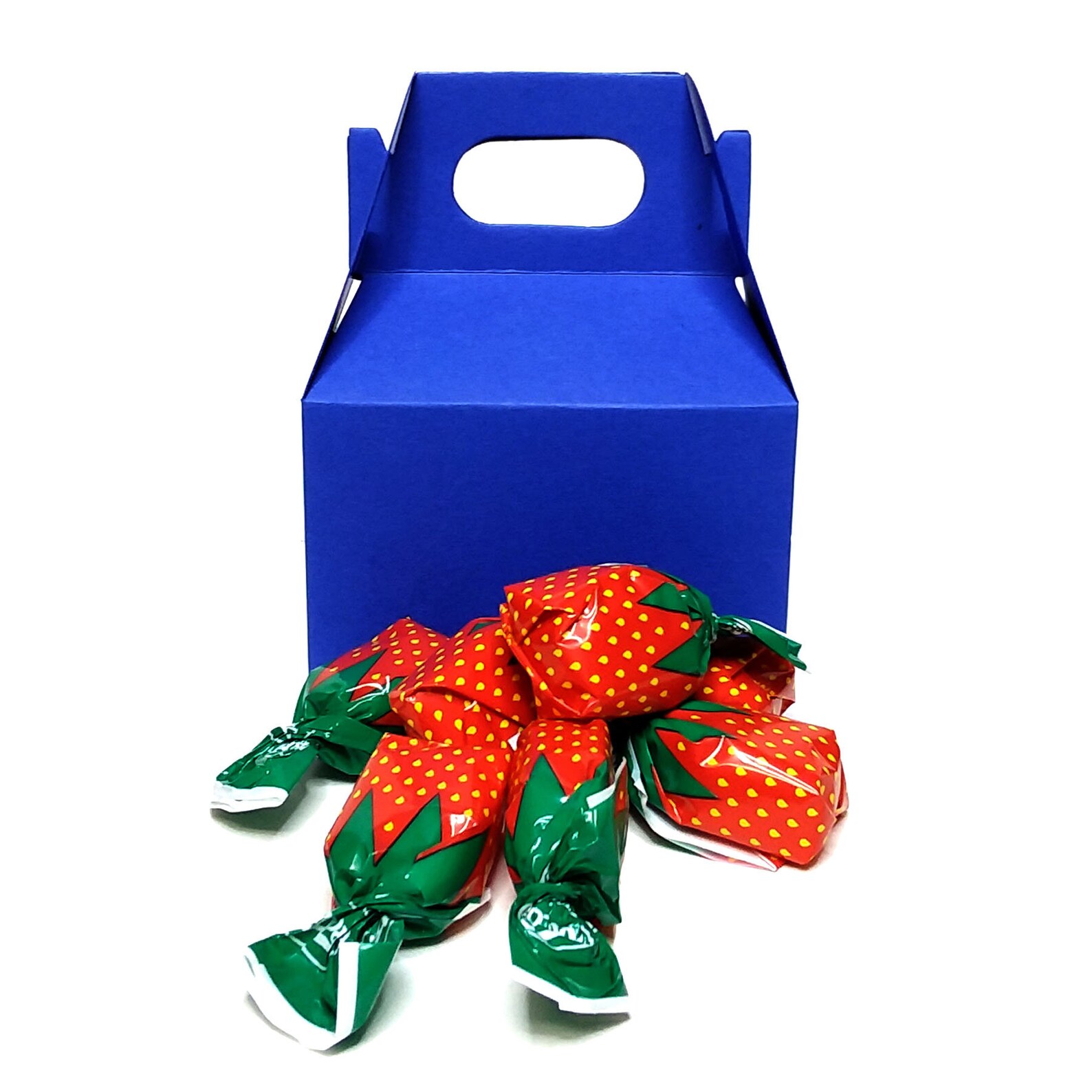 12 Pack Blue Gable Boxes Blue Treat Gable Boxes Blue Treat Etsy