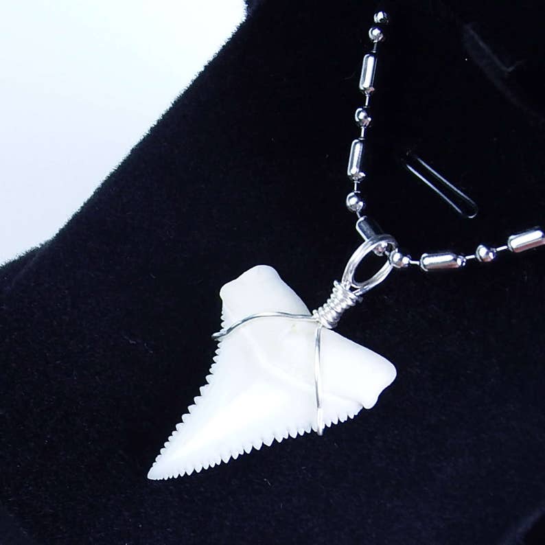 GemShark Real Great White Shark Tooth Necklace 1.0 inch Etsy