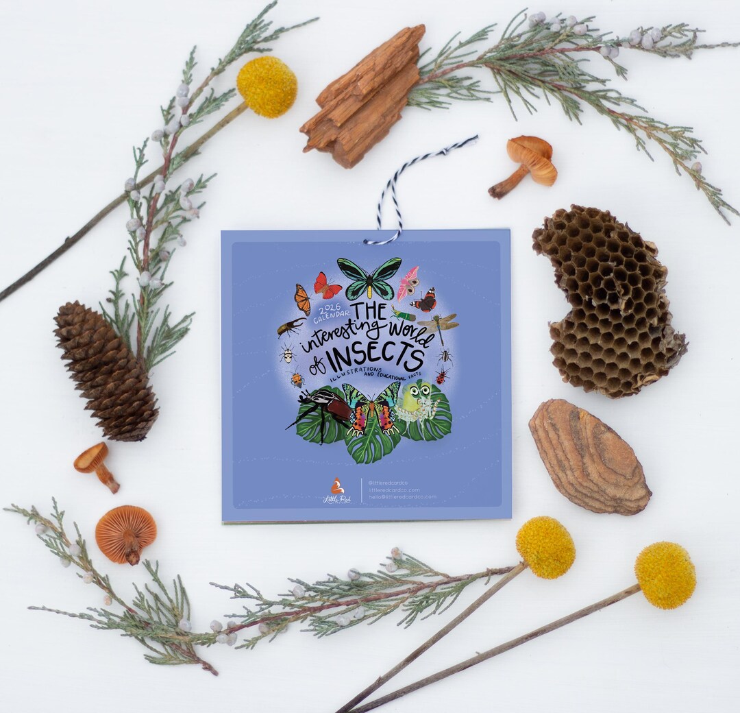 2026 Insect Calendar | Small 6x6" | the Interesting World of Insects ...