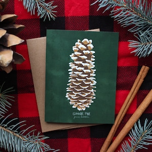Karta świąteczna Sugar Pine | Pakiety po 4, 8 lub 12 | Ręcznie ilustrowane święta, Zima, Przygoda, Oregon, Flanela, Szyszka cukrowa, Karty