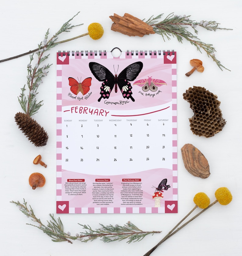 2026 Insect Calendar | Large 9x12" | the Interesting World of Insects ...