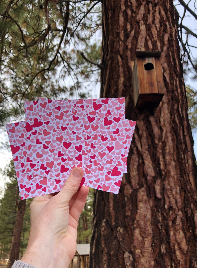 May include: A stack of cards with a pink and red heart pattern. The cards are being held in front of a tree with a birdhouse.