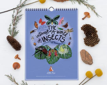 2026 Insect Calendar | Large 9x12" | The Interesting World of Insects | Hand Illustrated Bug, Moth, Butterfly, Beetle, Educational