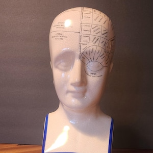 L.N. Fowler Phrenology Bust