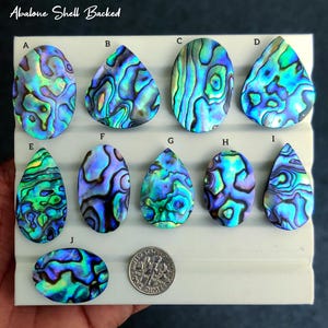 Puede incluir: Colección de cabujones de concha de abulón en varias formas, incluyendo ovaladas y de lágrima. Las conchas muestran iridiscencias azules, verdes y púrpuras. Se incluye una moneda como referencia de tamaño. El texto "Abalone Shell Backed" está en la parte superior.