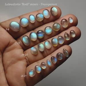 Könnte beinhalten: Eine Sammlung transparenter Labradorit-Edelsteine in verschiedenen ovalen und tropfenförmigen Formen. Die Steine zeigen schillernde blaue, grüne und gelbe Farbtöne. Der Text "Labradorite 'Rodi' mines - Transperant" ist sichtbar.