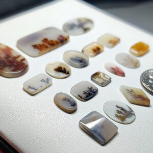 AAA Scenic Agate Gemstone Cabochon | Dendritic Picture Agate Loose Stone | Jewelry Making Crystal (7-24mm)