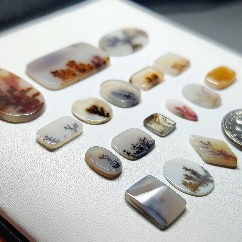 AAA Scenic Agate Gemstone Cabochon | Dendritic Picture Agate Loose Stone | Jewelry Making Crystal (7-24mm)