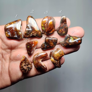 May include: Ten polished fire agate gemstones with iridescent brown, orange, and gold inclusions. Each stone is numbered from 1 to 10, displaying unique organic shapes and smooth, reflective surfaces with internal patterns of deep red and amber hues.