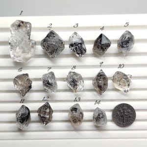 May include: Fourteen raw quartz crystal specimens in various shapes and shades of clear, grey, and black. A US dime is included for size reference. The crystals are arranged on a white surface. The crystals are arranged on a white surface.