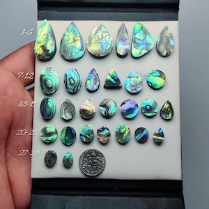 May include: A collection of iridescent abalone shell cabochons in various shapes, including teardrops, ovals, and circles. The shells display a range of colors, including green, blue, and purple. A dime is included for size reference.