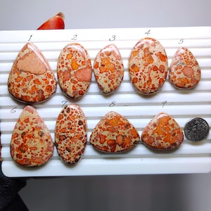 May include: A collection of nine polished gemstones with a speckled pattern in shades of beige, orange, and brown. The stones vary in shape, including teardrop, oval, and triangular forms. A coin is included for size reference.