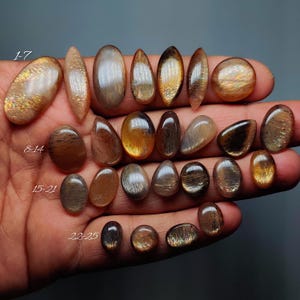 May include: A selection of polished sunstone gemstones in diverse forms, such as oval, teardrop, and round. The stones exhibit a spectrum of hues, from gold to brown, with sparkling inclusions. The image includes the numbers 1-7, 8-14, 15-21, and 22-25.