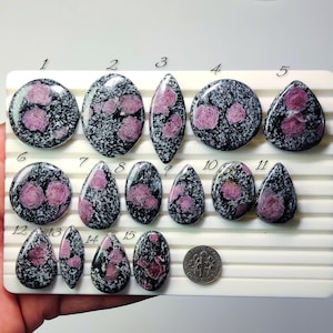 May include: A collection of fifteen polished gemstones with a black and white speckled background and pinkish-red inclusions. The stones vary in shape, including oval, teardrop, and round. A dime is included for size reference.