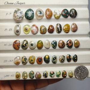 May include: A collection of ocean jasper gemstones in various shapes and sizes, displayed on a white surface. The gemstones feature a range of colors, including green, brown, white, and yellow, with unique patterns. The text "Ocean Jasper" is visible.