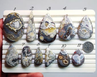 May include: Eleven polished agate stones in various shapes and sizes, displayed on a white tray. The stones feature a range of colours including grey, brown, white, and yellow, with unique patterns and textures. A US dime is included for size reference.