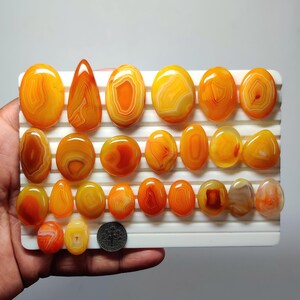 May include: A collection of polished, oval and teardrop-shaped orange and yellow banded agate cabochons arranged on a white display tray. A silver United States dime coin is placed on the tray for scale, showing the relative size of the stones.