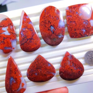 May include: A selection of polished gemstones in diverse shapes, such as oval, teardrop, and rectangular. The stones display a striking pattern of deep red and maroon hues with veins of white and blue. The gemstones are presented on a white surface.