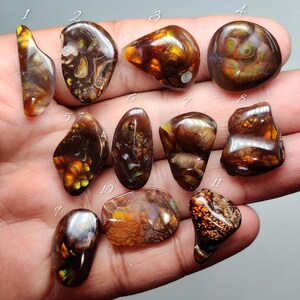 May include: Eleven polished fire agate gemstones with iridescent, multi-colored patterns in shades of deep brown, orange, and gold. Each stone is numbered from one to eleven, displaying unique internal structures and smooth, rounded surfaces.
