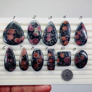 Puede incluir: Once piedras preciosas pulidas con un patrón moteado negro y rojo. Las piedras varían en forma, incluyendo forma de lágrima, ovalada y rectangular. Se incluye una moneda como referencia de tamaño. Las piedras preciosas son probablemente para la fabricación de joyas.