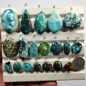 Pode incluir: Uma coleção de dezanove cabochões de turquesa polidos em várias formas e tons de azul e verde, dispostos num tabuleiro com etiquetas numeradas de 1 a 19, acompanhados por uma moeda de dez cêntimos dos EUA para mostrar a escala.