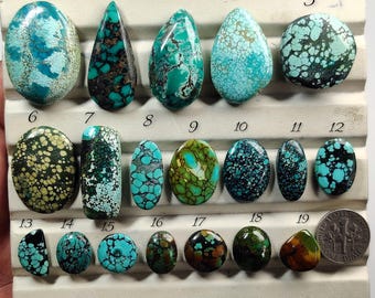 May include: A collection of nineteen polished turquoise cabochons in various shapes and shades of blue and green, arranged on a display tray with numbered labels from 1 to 19, accompanied by a US dime for scale to show the relative size of the stones.