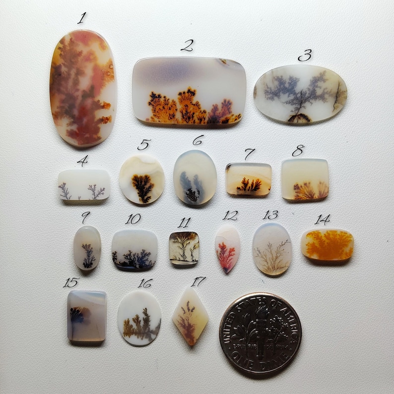 AAA Scenic Agate Gemstone Cabochon | Dendritic Picture Agate Loose Stone | Jewelry Making Crystal (7-24mm)
